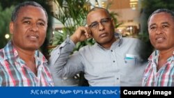 ዶ/ር አብርሃም ዓለሙ የሥነ ጹሑፍና ፎክሎር ተመራማሪ 