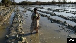 سیل در ایران و وضعیت کشاورزان