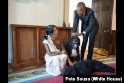 2016年9月4日，缅甸国务资政昂山素季访问白宫，在会见奥巴马总统后，看望奥巴马的两只爱犬，波和桑尼。