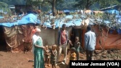 Qubattoni wagga sagal dura Godinoota Harargee irra buqa'anii Godina Bunnoo Baddalee Aanaa Dhedheesaa qubatan