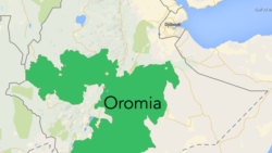 ነቀምቴና ጊምቢ ላይ ዛሬ የተቃውሞ ሰልፎች ተካሄዱ