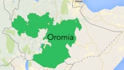 Kanneen Naannoo Somaalee Irraa Buqqa’an Bishooftuu Keessatti Rakkoo Keessa Jirra Jedhu