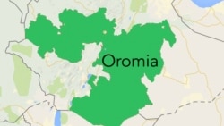 Ibiddii Gaarren Gujii gube yadhaame mo hin dhaamne?