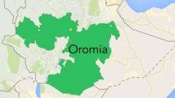 Booranatti hajajoota waraana Liyuu Poolis 3 booji'an ,Hararge Bahaatti ammoo Liyuu Poolis bulchaa aanaa Gursum ka durii ijjeese jedhan