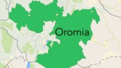 Raayyaan Ittisa Biyyaa Gujii Bahaa,Sabbaa Boruutti Namoota 7 Ajjeese: Jiraattota