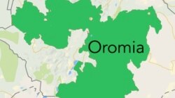 Shaampiyoonaa Ispoortii Aadaa Oromoo Baranaa,Jimma