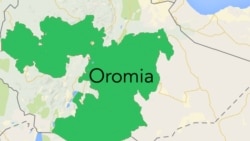 Rakkooleen Oromiyaa Lixaa fi Kibbaa Keessatti Mul’atan Akka Karaa Nagaa Furaman Mootummaa Gaafanne, Jedha Koreen Fala Barbaachaa