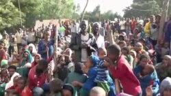 የቤንሻንጉል ጉምዝ ተፈናቃዮች ቅሬታ