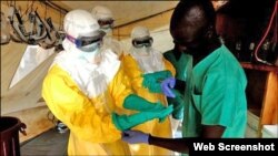 Petugas kesehatan Arab Saudi melakukan tes atas beberapa sampel pasien yang diduga menderita ebola (9/8).