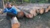 Jan. 15, 2001 file photo, a Myanmar logger sits on a pile of timber which is waiting to be cut, in the jungles of central Myanmar. There has been a sharp decline in timber illegally imported into China from Myanmar, but smugglers are stil