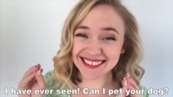 OMG!美语 Can I Pet Your Dog?