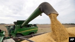 美国印第安纳州农民在收获大豆 （2018年9月21日摄）