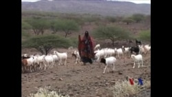 游牧社区在改变中寻求生存之道