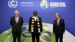 Udaba Esilethulelwe NguGibbs Dube