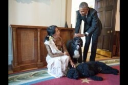 FILE - President Barack Obama and Aung San Suu Kyi, State Counsellor and Minister of Foreign Affairs of Myanmar, visit with Obama family pets Bo and Sunny in the Cabinet Room of the White House following their bilateral meeting, Sept. 14, 2016.