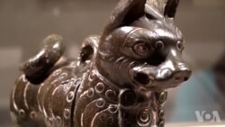 美国万花筒: 百样人生：纹身博览会；“看不见”的艺术；植物艺术家