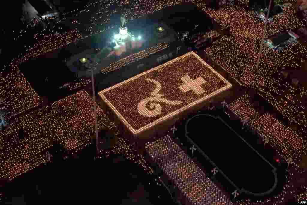 កូនខ្លា​រោម​ស​អាយុ​បួនខែ​នៅ​ជិត​បា​របស់​វា​ឈ្មោះ Sam ក្នុង​សួន​មួយ​នៅ​ក្រុង​ប៊ីលីស៊ី ប្រទេស​ហ្សកហ្ស៊ី។&nbsp;