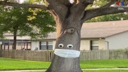 Արգելքներից հետո էլ մարդիկ շարունակում են հետևել կանոններին, լողափերը վերահսկվում են. Ֆլորիդայում ապրող հայ