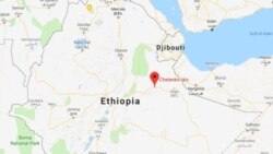 ሻምቡ ውስጥ በሁለት የትግራይ ተማሪዎች መገደል የተጠረጠሩ ተማሪዎች ተያዙ