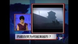 时事大家谈:西藏自焚为何越演越烈？