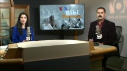 بي بي شیرینه – وي او اې ډيوه په ټیلې ویژن