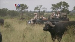 Warung VOA: Serunya Musim Panas di AS (3)