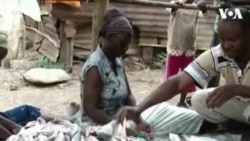 Majema Sun Kirkiro Sabuwar Hanyar Neman Kudi Da Sharar Kanfanin Sarrafa Kifi