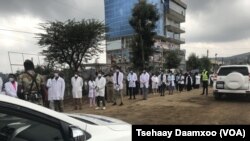 Artistoonni Oromiyaa Faca’ina Vaayirasii Koronaa Ittisuuf Sagantaalee Hubannoo Uumuu Geggeessaa jiran