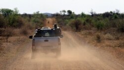 አፍሪካ ነክ ርዕሶች