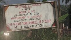 La culture du palmier à huile fait tâche