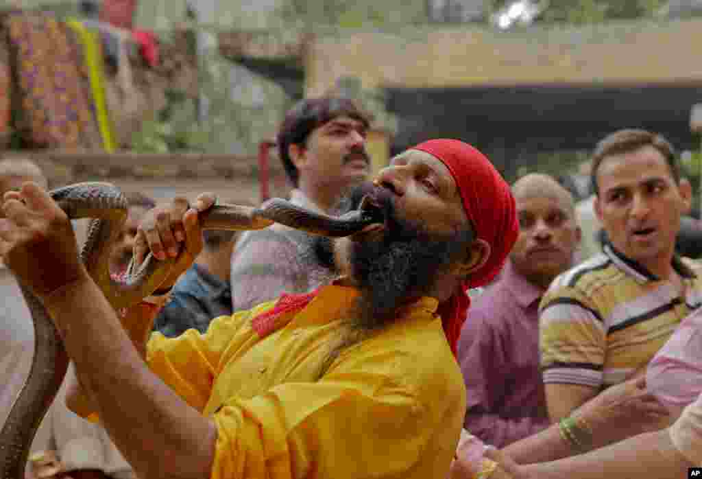 An Indian man plays with a snake during the annual Hindu Nag Panchami festival, dedicated to the worship of snakes, in Allahabad, India.
