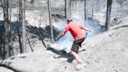 Изгубени и шумите и егзистенцијата за луѓето во малешевијата