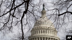 미국 워싱턴의 국회의사당 건물 (자료사진)