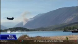 Shqipëri: Zjarret në male po sjellin dëme të rënda në mjedis