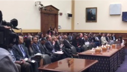 የኢትዮጵያ መንግሥት የዴሞክራሲና የሰብዓዊ መብት አስተዳደር በአሜሪካ የኮንግረስ አባላት ፊት ተተቸ