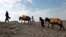 FILE - An Afghan internally displaced family carries water containers on their donkeys on the outskirts of Jalalabad city, Afghanistan, January 26, 2015. 