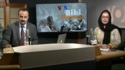 بي بي شیرینه – وي او اې ډيوه په ټیلې ویژن