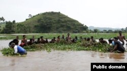 ፎቶ ፋይል፦እምቦጭ