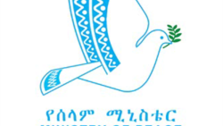 የሰላም ሚኒስተር የጦር መሳሪያ ምዝገባ ለማድረግ በዝግጅት ላይ መሆኑን አስታወቀ