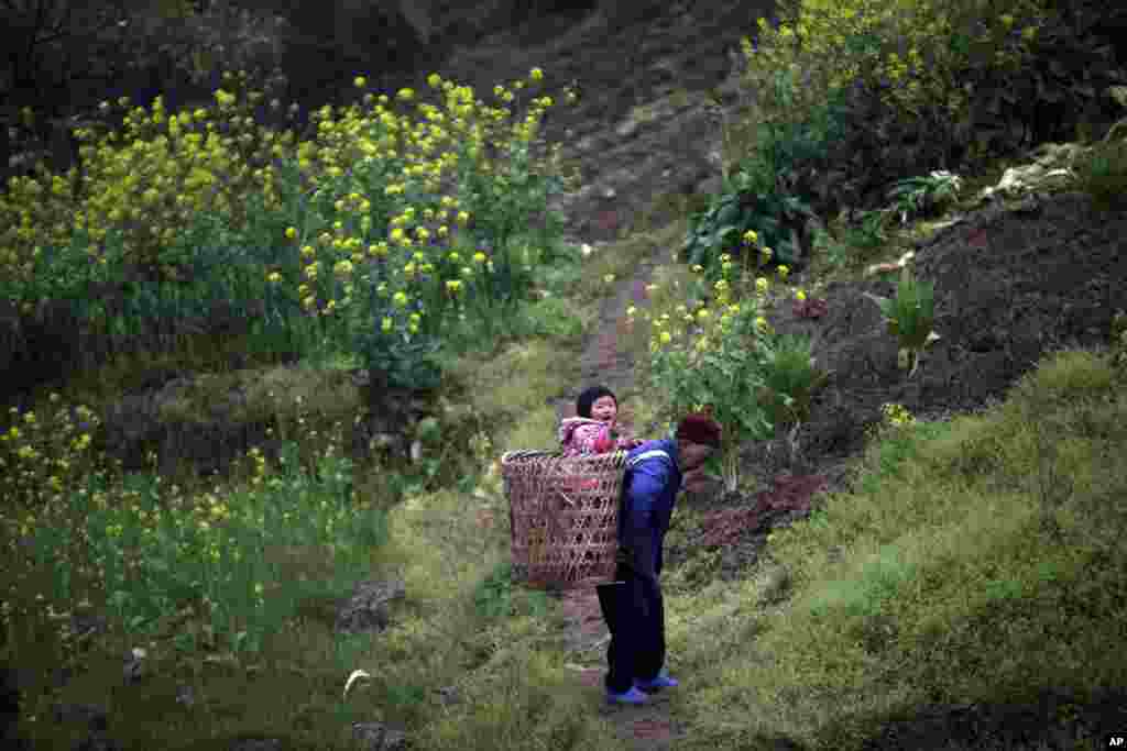 Seorang nenek di pinggiran Chongqing, China menggendong cucunya dengan menggunakan keranjang tradisional. 