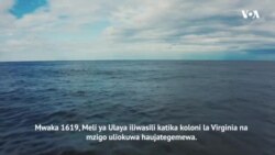 #voa400 : Jinsi biashara ya utumwa ilivyodhoofisha jamii za Kiafrika