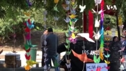 中国信息强烈，洛杉矶侨民力挺香港不停步