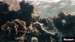 Yanayin Dimaman Yanayi