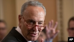 资料照：参议院少数党领袖舒默（Senate Minority Leader Chuck Schumer, D-NY）