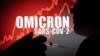 奥密克戎是新冠最后毒株？ 专家说法不一