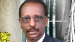 ቃለ መሕተት አማኻሪ ሚኒስትሪ ጥዕና ኤርትራ ዶ/ር ምስማይ ገ/ሂወት