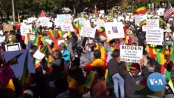 ትውልደ -ኢትዮጵያዊያን ከዋይት ኃውስ ፊት ለፊት የተቃውሞ ሰልፍ አደረጉ