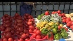 Biyyoonni Afriikaa Yoo Galmeen Jiru Haalli Isaa Amansiisaa Dha Jedhe Dinagdee Isaanii Qalbii dhaan Banuu Qabu Jedhame