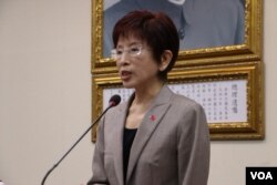 国民党总统候选人洪秀柱 (美国之音杨明)