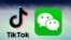 TikTok和微信徽标